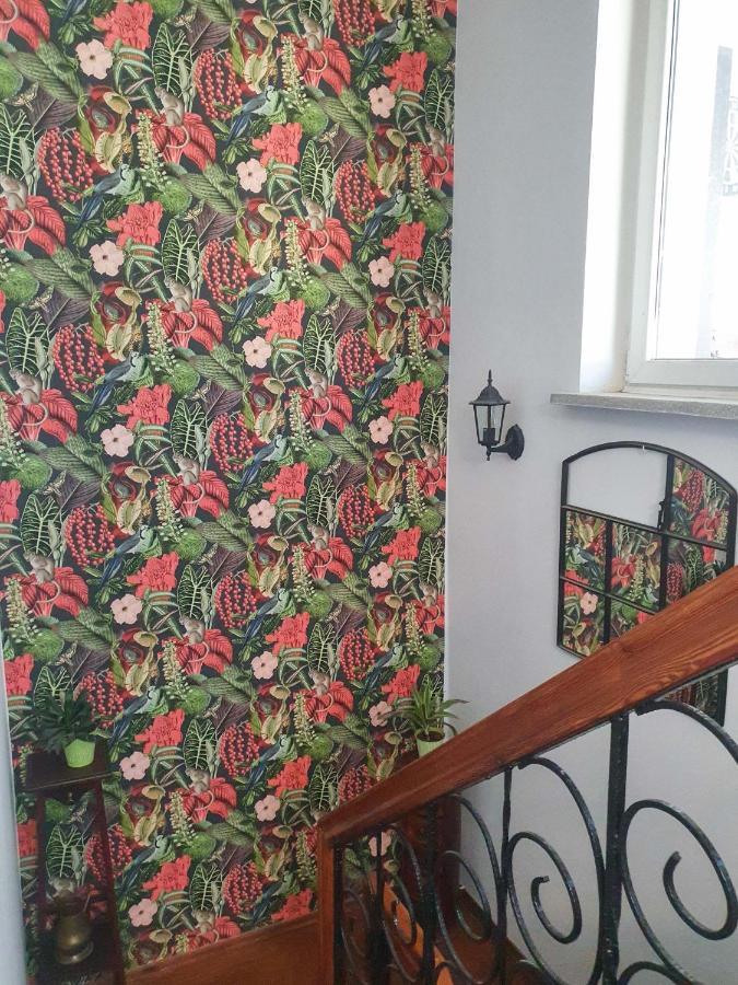 Hostel Mazurska 8A オルシュティン エクステリア 写真